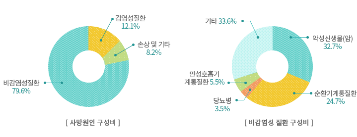 사망원인구성비는 손상 9.5%, 감염성질ㄹ환 10.1%, 비감염성질환 79.6%, 기타 0.6%이며 비감염성질환 구성비는 악선신생물(암) 32.7%, 순홤ㄴ기계통질환 24.7%, 당뇨병 3.5%, 만성호흡기계통질환 5.5%, 기타 33.6% 입니다